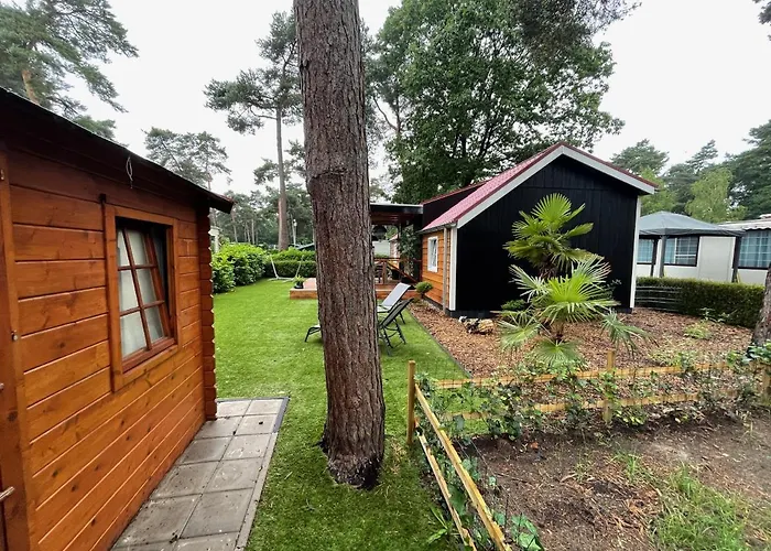 Chalet Bospark Wolfsven - Bpw 1583